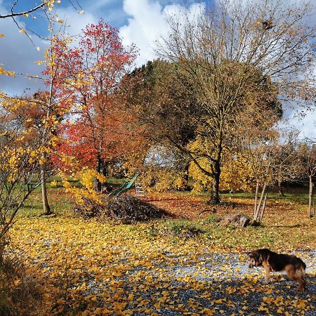 Sevignacq Domaine Oustau Cassou Chez Yanou Et Yanettoヴィラ エクステリア 写真